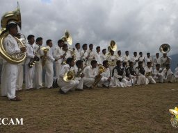 Banda Oficial 2010